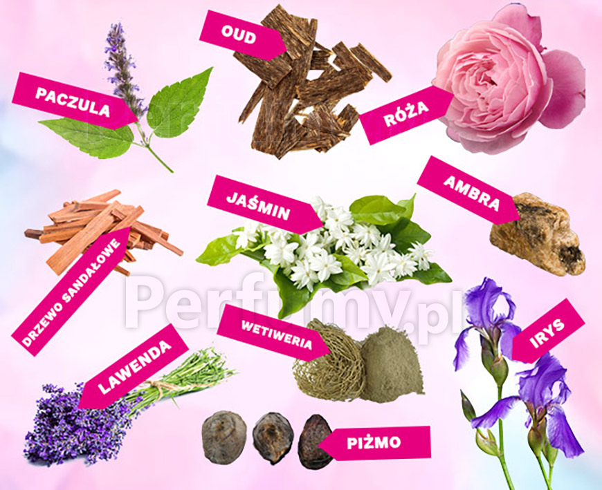 Najpopularniejsze składniki perfum