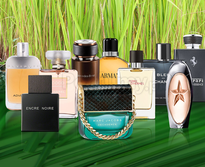 Perfumy z wetiwerem idealne na okresy zmęczenia i stresu