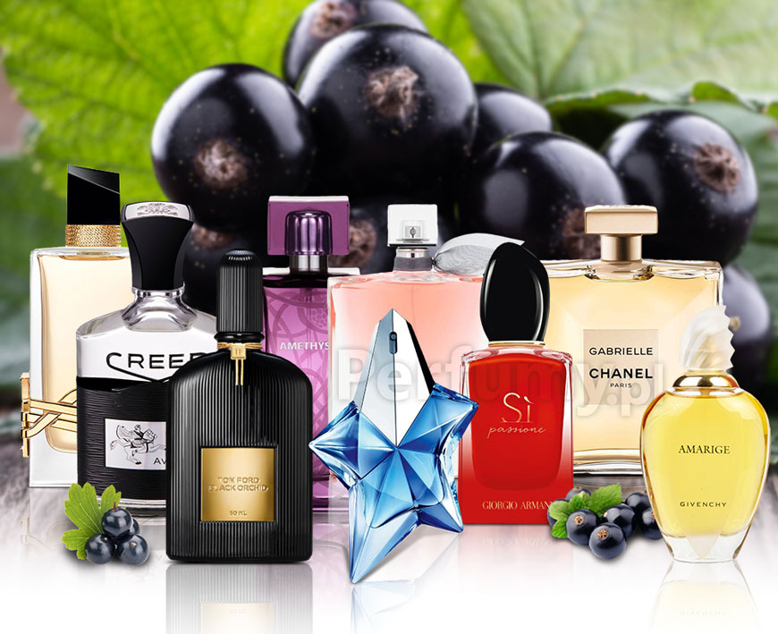 Intrygujące perfumy z czarną porzeczką