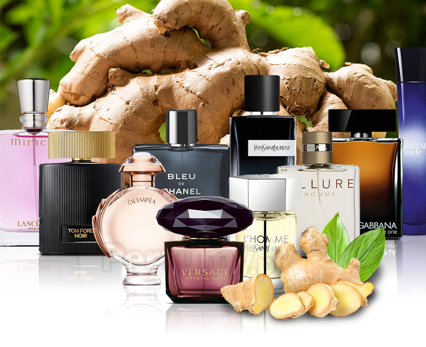Aromatyczne i rozgrzewające perfumy z imbirem