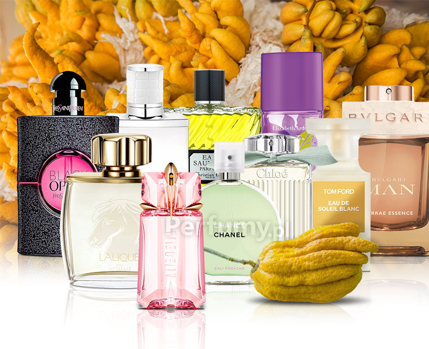 Perfumy z nutą cytronu – energetyczna propozycje dla niej i dla niego