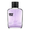 Playboy New York woda toaletowa 100 ml