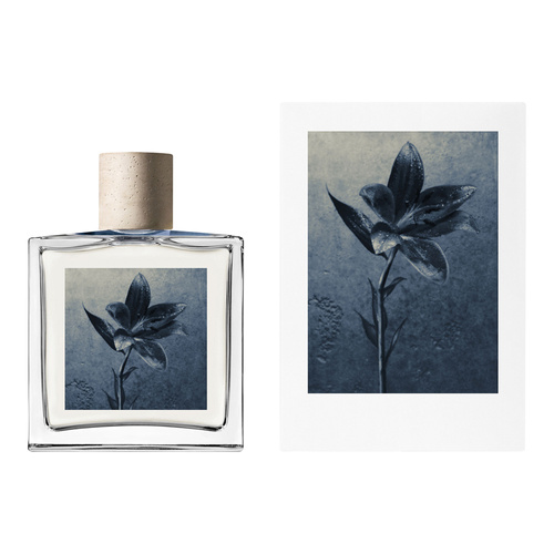 Allsaints Concrete Rain woda perfumowana 100 ml