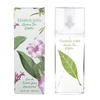 Elizabeth Arden Green Tea Exotic woda toaletowa 100 ml