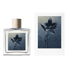 Allsaints Concrete Rain woda perfumowana 100 ml