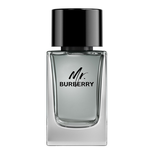 Burberry Mr. Burberry  woda toaletowa 100 ml