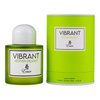 Emir Vibrant Vetiver Delight  woda perfumowana 100 ml