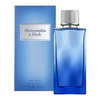 Abercrombie & Fitch First Instinct Together For Him  woda toaletowa  50 ml