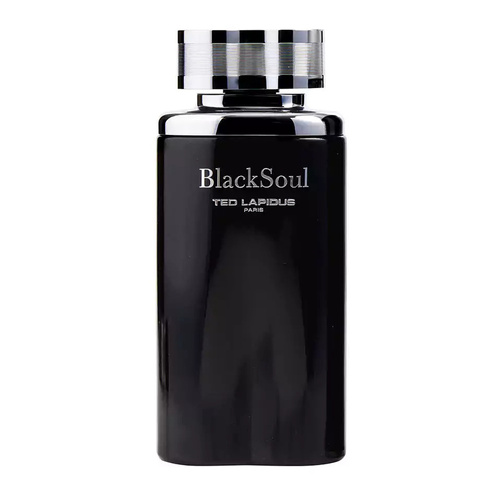 Ted Lapidus Black Soul woda toaletowa 100 ml
